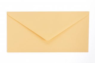DIN Long Envelopes, Turmeric