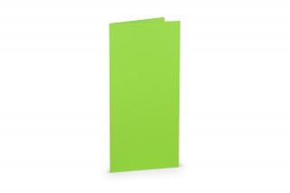 Folding cards DIN Long, Light Green