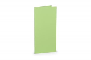 Folding cards DIN Long, Mint Green